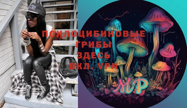 гидра Алзамай