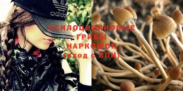 гидра Алзамай