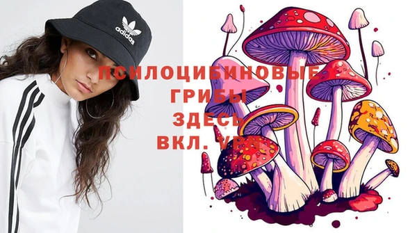гидра Алзамай