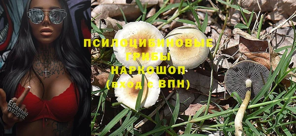 гидра Алзамай